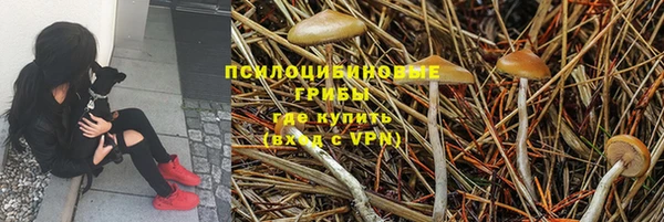 марки lsd Ростов