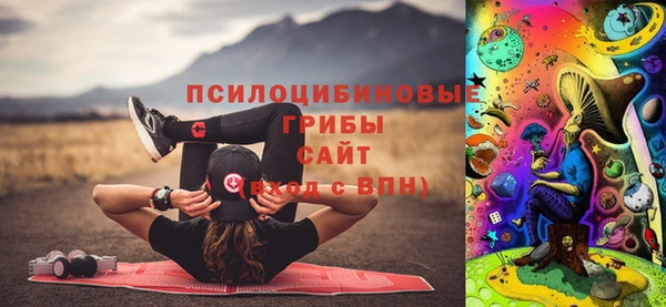 хмурый Россошь