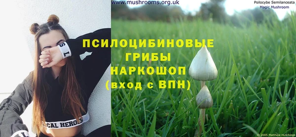 метамфетамин Дрезна